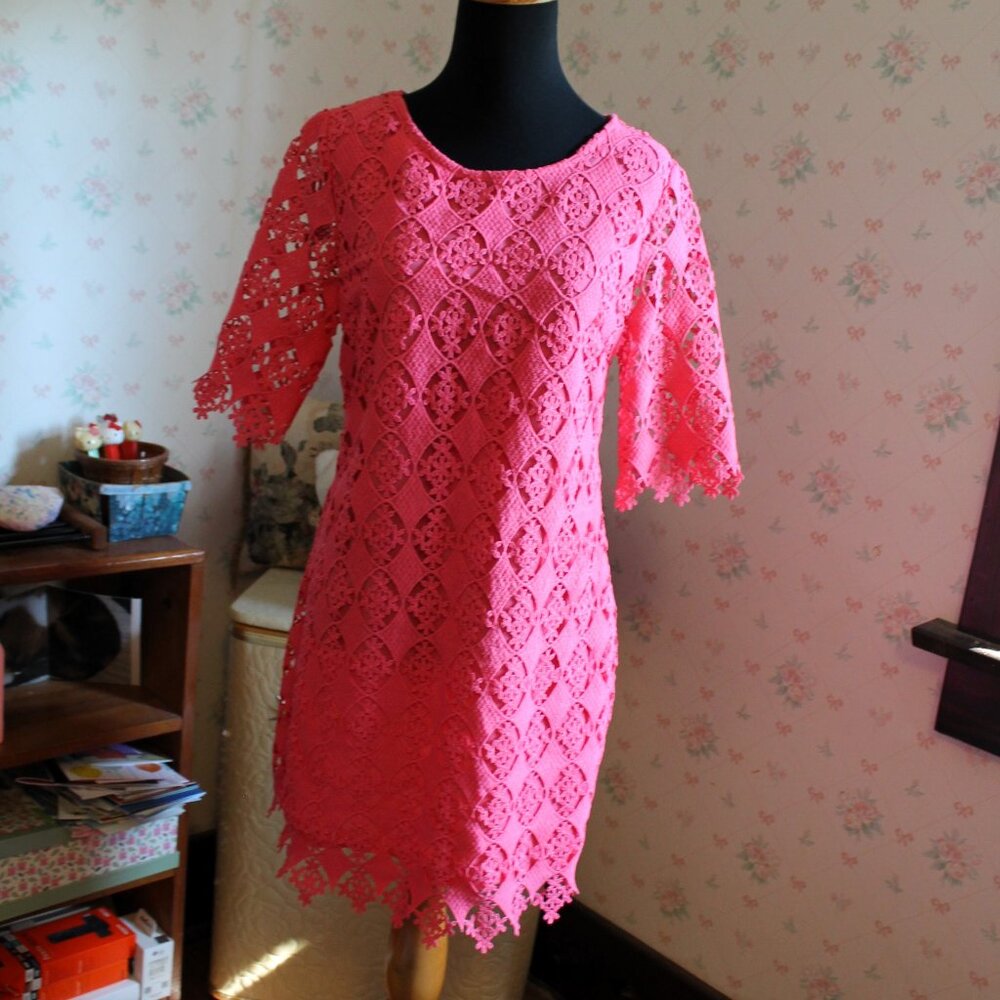 ALYA Salmon Pink Lace Overlay Dress, Small - Picture 2 of 9